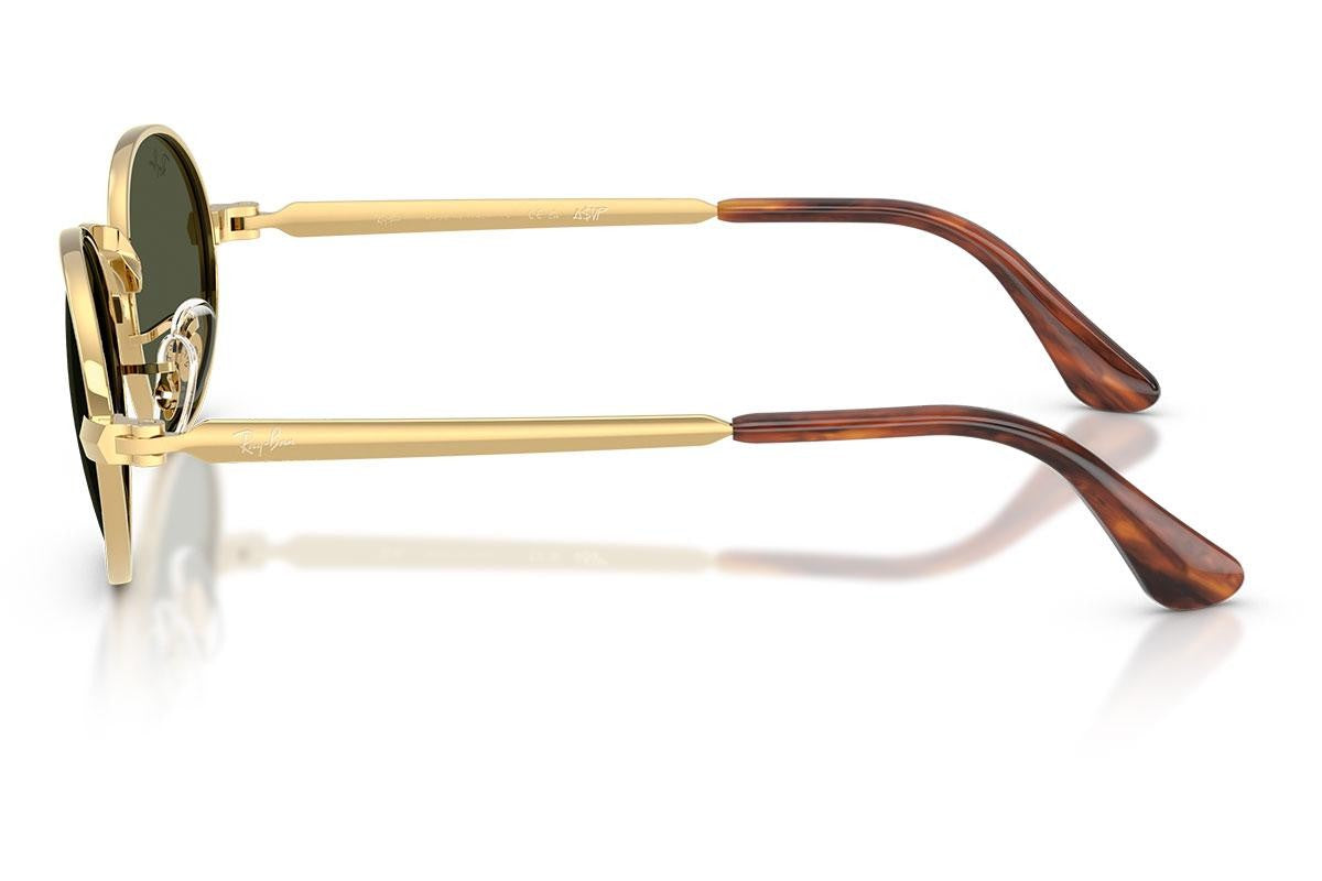 RayBan RB3931 001/31