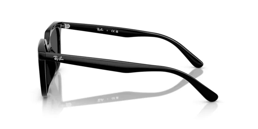 RayBan RB4439D 901/87