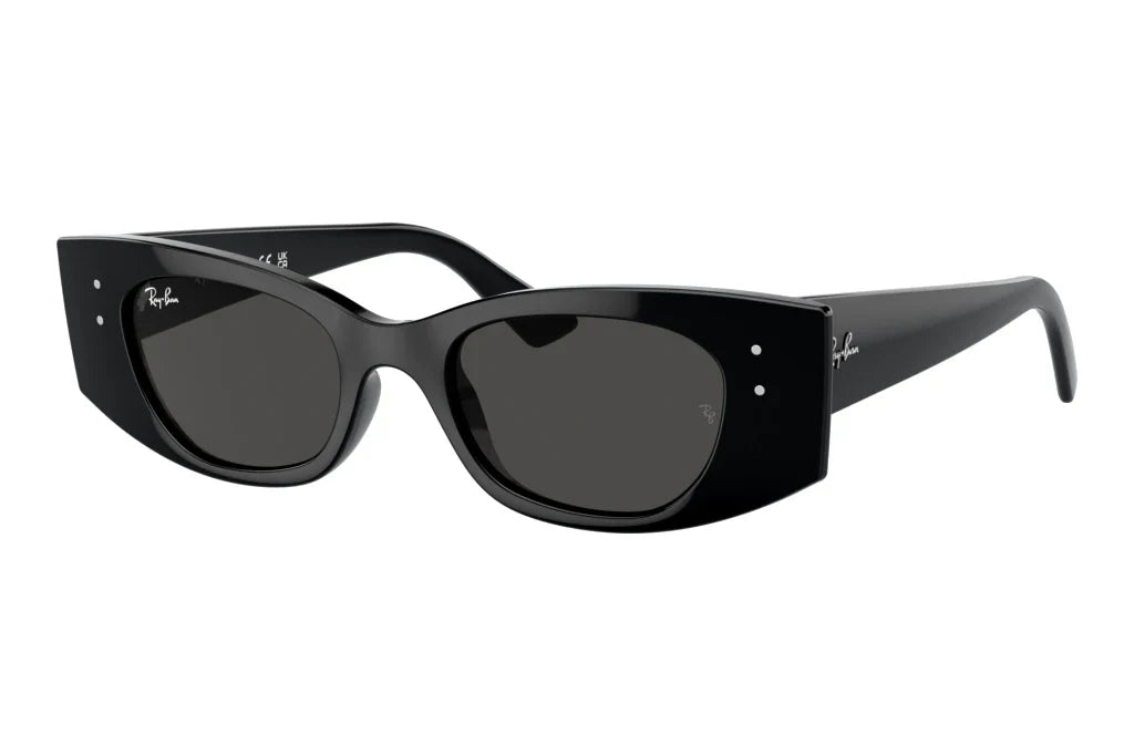 Ray-Ban KAT RB4427 - 667787