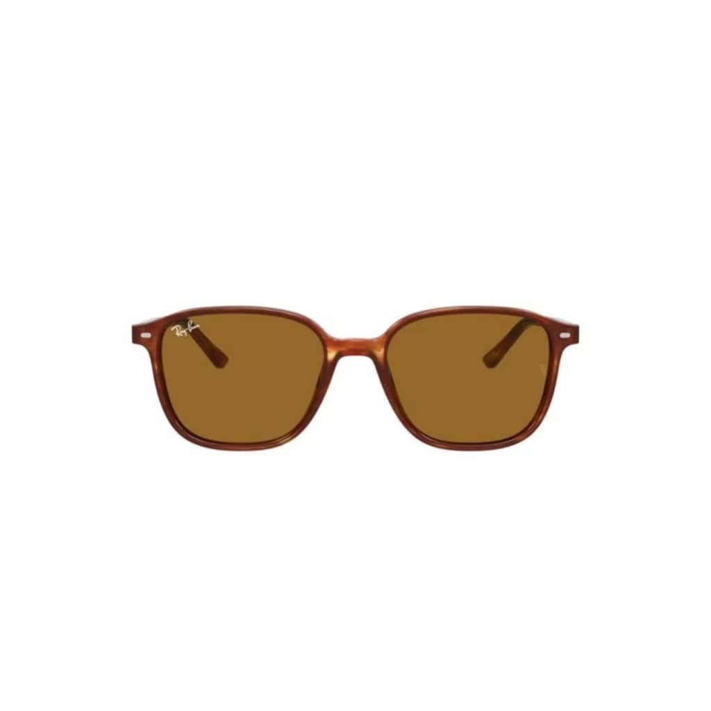 RayBan LEONARD RB2193 954/33