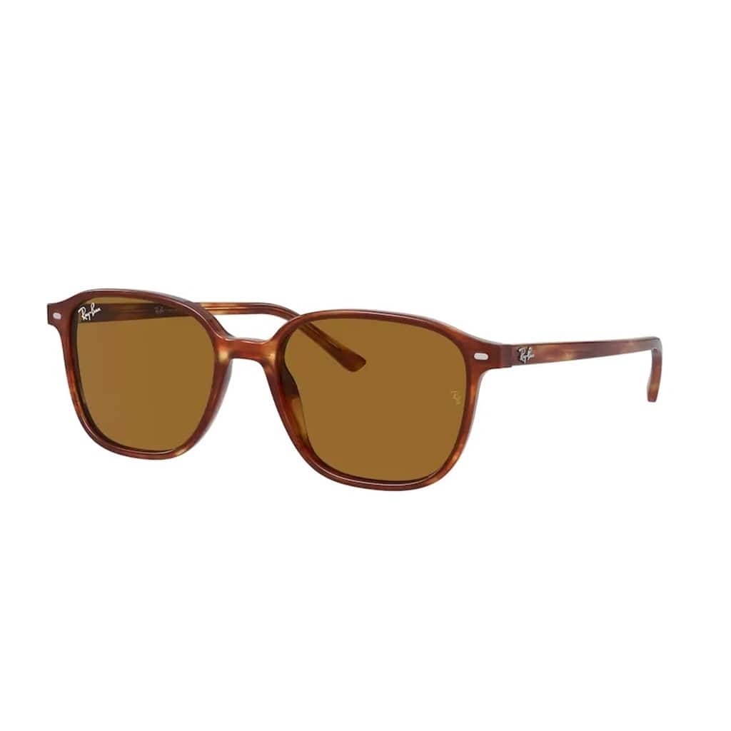 RayBan LEONARD RB2193 954/33